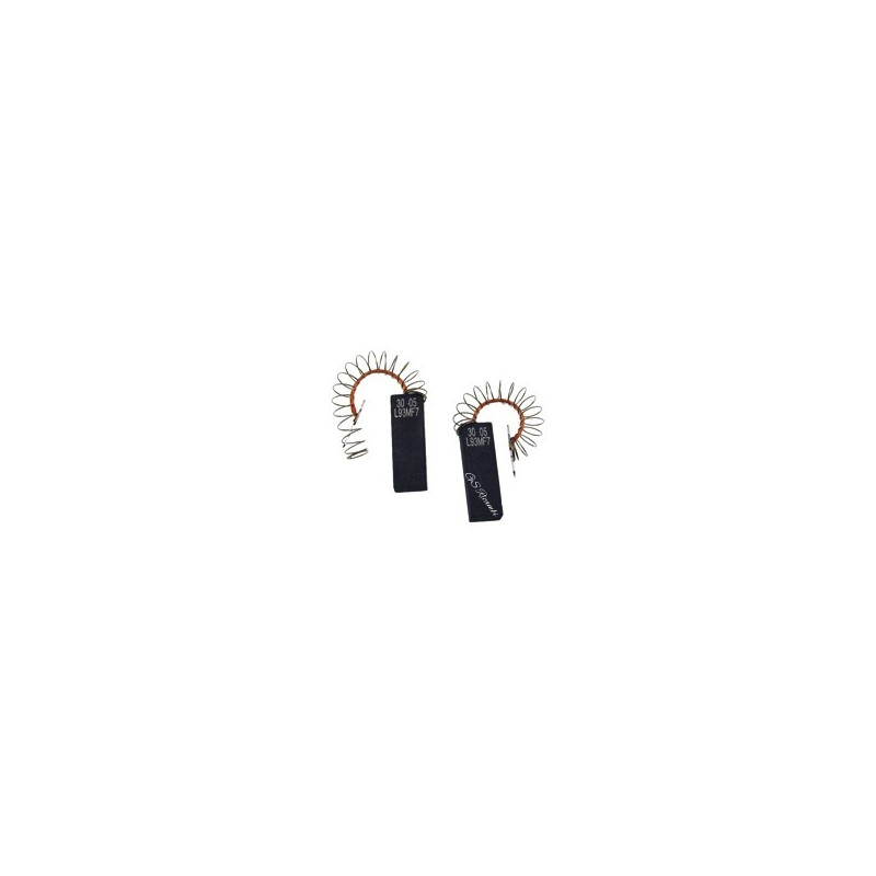 Coppia Carboncini motore lavatrice Electrolux Aeg Whirlpool 481236248003 8996454300782