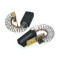 Carboncini motore lavatrice Merloni Philco 113390224